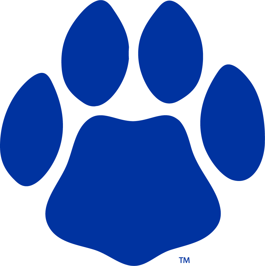 Georgia State Panthers 2009-2012 Secondary Logo DIY iron on transfer (heat transfer)